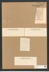 Cocconeis cruciata Pont. (de-Toni-Nr.: Genus 40, Species 1829) Zeichnungen Sammlung Grunow Nr. 3619 (NHMW-BOT-W0371222)